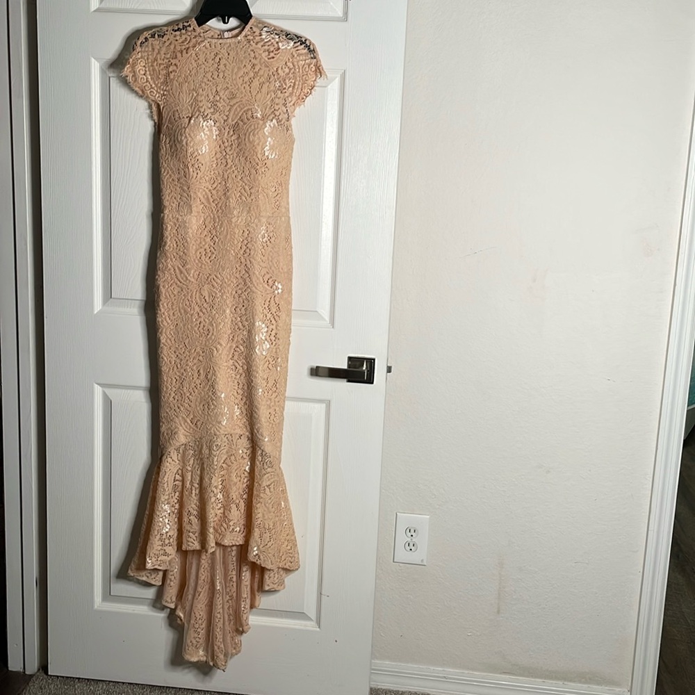 NWT Miss Holly Francis Lace maxi dress